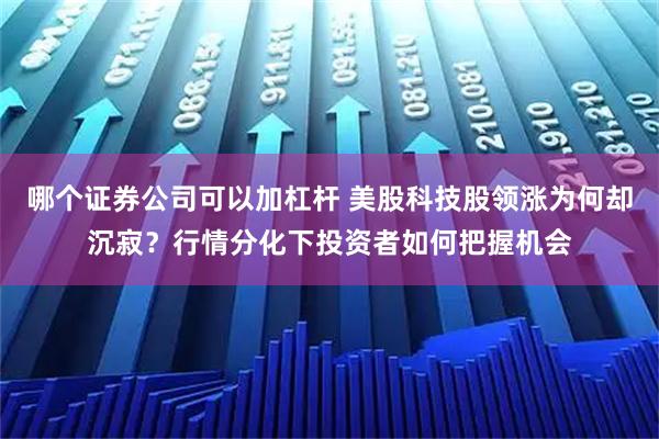 哪个证券公司可以加杠杆 美股科技股领涨为何却沉寂？行情分化下投资者如何把握机会