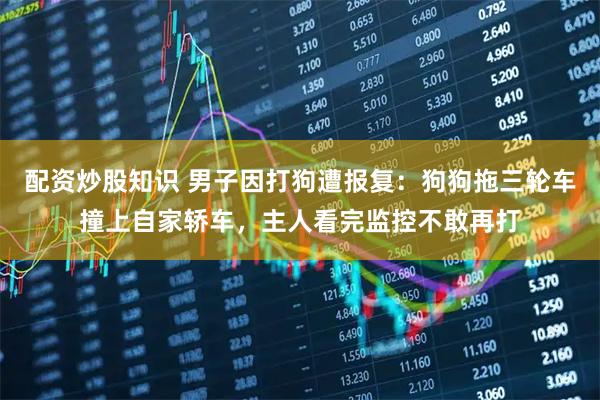 配资炒股知识 男子因打狗遭报复：狗狗拖三轮车撞上自家轿车，主人看完监控不敢再打