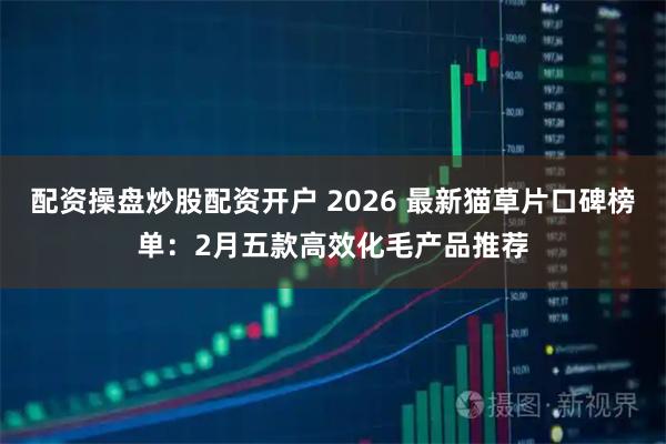 配资操盘炒股配资开户 2026 最新猫草片口碑榜单：2月五款高效化毛产品推荐